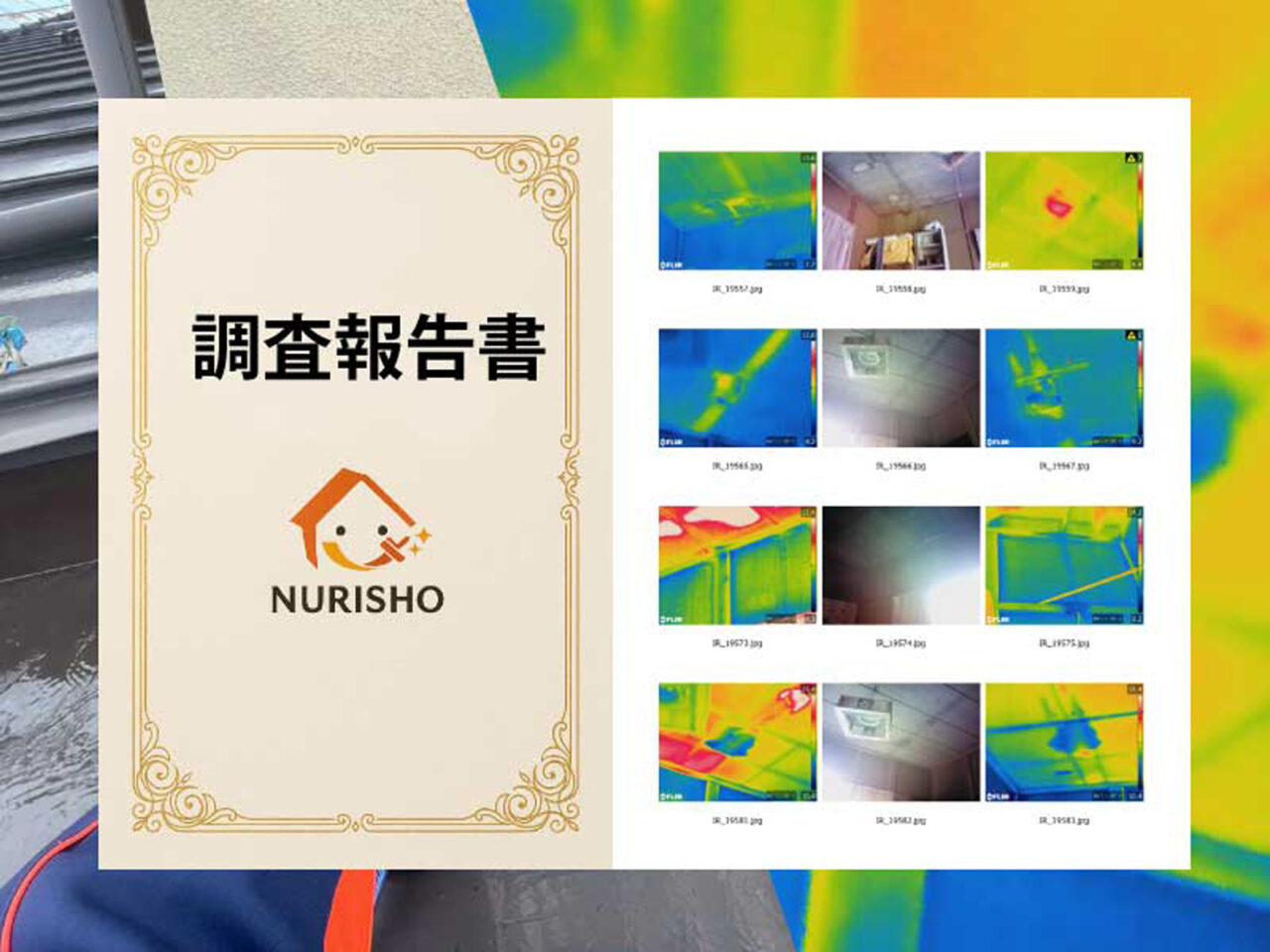 調査報告書